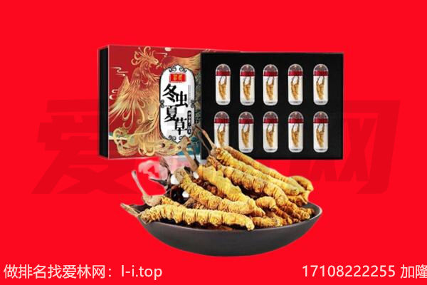江城县回收虫草.jpg